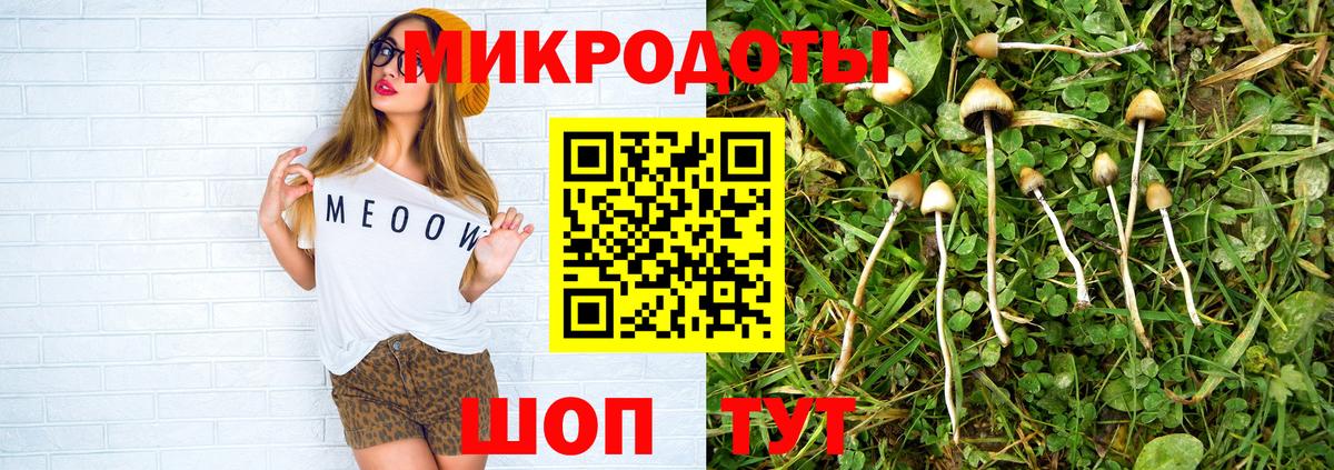 Галлюциногенные грибы Psilocybine cubensis Усинск