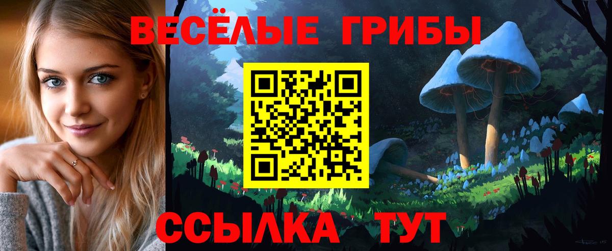 Псилоцибиновые грибы GOLDEN TEACHER  Вход с VPN  Усинск 